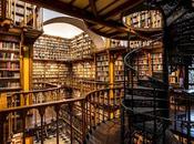 CORAZÓN PARQUE Flannery O’Connor