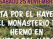 Ruta hayedo monasterio hermo