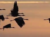 recuerdo para Navidad