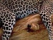 Mente. Relajación muscular. Vídeo