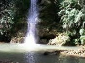 Cascada Viva