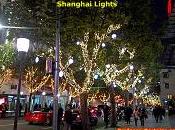 Pequeñas diferencias...