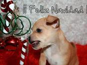 Feliz Navidad!!