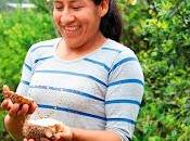 Mundial Mujer Emprendedora, celebrando éxito mujeres comunidades Chocó Andino