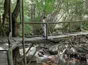 Olympiada Halkidiki: pequeño milagro naturaleza