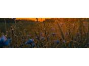 Limpieza Espiritual: Rutinas Diarias para Alma