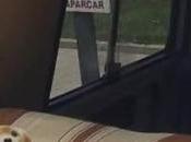 Perritos procuradores