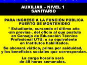 Auxiliar nivel sanitario