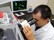 publicarán nuevas teorías acerca Alzheimer