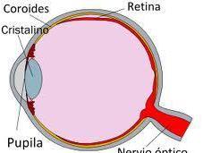 ¿Qué puede causar desprendimiento retina?