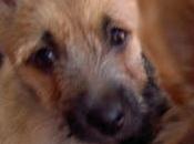 tiene meses devuelven!! valencia