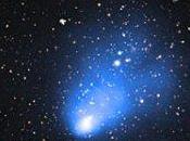 Gordo”: gran cúmulo galáctico lejano