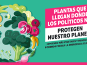 Veganuary: década acompañando quienes quieren probar veganismo durante enero