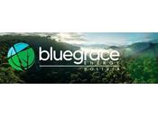 MAXIMANCE 2030 BlueGrace Energy Bolivia obtienen aprobación ISIN 2.000 millones dólares