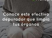 Conoce este efectivo depurador limpia órganos