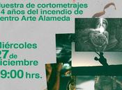 «Asuntos Pendientes»: Cortometrajes, realidad virtual muralismo. años incendio Centro Arte Alameda