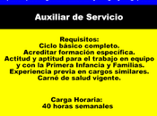 Auxiliar Servicio