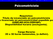 Psicomotricista (Parque Plata)