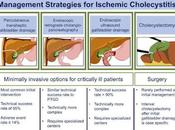 Diagnostico Tratamiento Colecistitis Isquémica Alitiasica