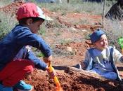 Alcázar Juan invita niños nacidos 2023 participar proyecto ‘Bosque Vida’