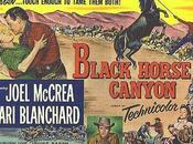 Cañón corcel negro, (USA, 1954)