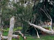 Cierre Parque Tangamanga supervisión fuertes vientos