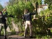 Interrupciones suministro agua Luis Potosí debido fuertes vientos