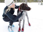 Ruff Wear calza perro