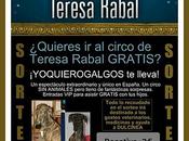 Bases Sorteo "Circo Teresa Rabal
