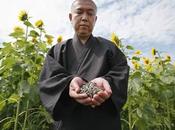 Monjes budhistas plantan fukushima millones giras...