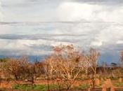 Outback