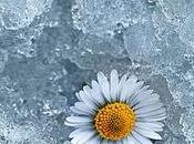 Cuidador, necesitas cuidarte