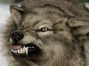 Nefasta estrategia abusar engaño