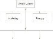 jerarquías organizaciones