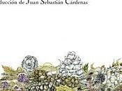 Novedades, enero 2012: Impedimenta