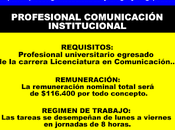 Profesional comunicación institucional