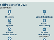 contribuciones eBird durante 2023