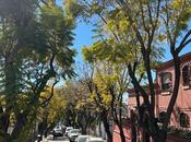 Dónde alojarse Málaga: mejores zonas alojamientos