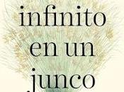 infinito junco
