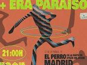 Junta Urgente Paraiso perro parte atrás coche