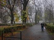 Bosque medio ciudad