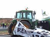 Planas reúne Asaja, COAG este jueves tras intensificarse protestas tractoradas campo