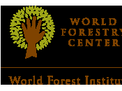 Becas entrenamiento World Forest Institute 2012