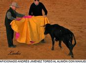 Jornada taurina mato