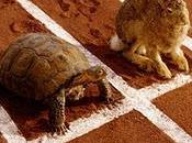 liebre tortuga