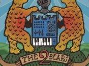 Bears Strong