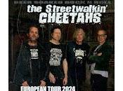 Streetwalkin' Cheetahs, conciertos España 2024