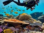 Explora Grandeza Barrera Coral Australia