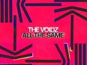 Julian Casablancas Voidz estrenan Same