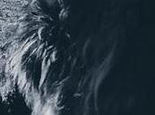 PERRO PARQUE Flannery O’Connor